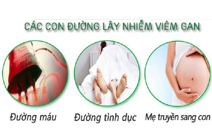 Đường lây truyền virus viêm gan B, C, D.